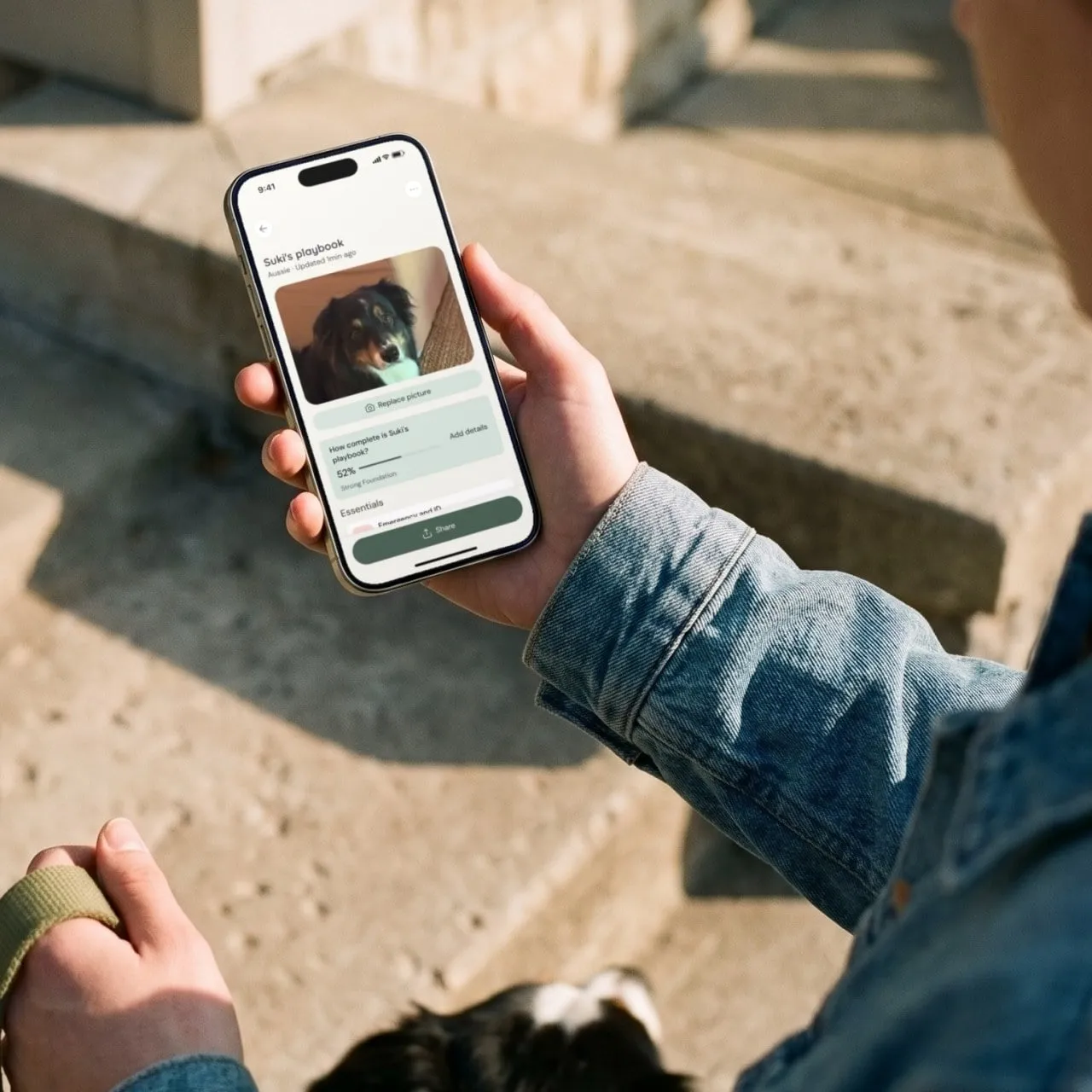 A pet sitter checks a dog’s PetPlaybook routine on a phone, leash in the other hand